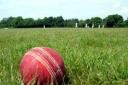 North Wales cricket