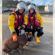Lifesavers fortunately were able to save the loved dog