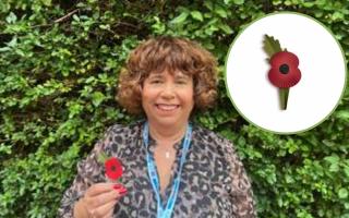 Poppy Appeal Organiser and volunteer Helen Jones from Rhyl and inset, the new plastic free poppy