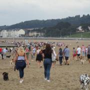 Dog lovers walk towards the truncated pier in Colwyn Bay Colwyn Bay