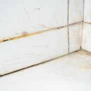 With this in mind, Louise Hobson, spokesperson at United Silicones, has provided tips on how to remove this fungus from your shower.