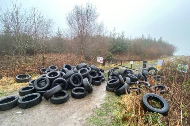 Police are looking for "idiot" who dumped this mountain of tyres near Conwy woodland [Credit: NWP Rural Crime Team]