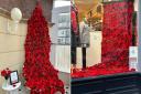 (L-R) The poppy displays at Ormeside Grange and at Ty Gobaith