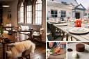 The Conwy and Abersoch-based restaurants were named in OpenTable's top 100 list along with other venues from around the UK including London, Edinburgh and Manchester.