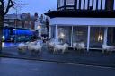 Llandudno goats in Craig y Don on the morning of February 8 2024