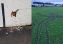 Vandalism at Llandudno Rugby Club.