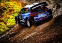 The FIW World Rally Championship stage, which passes through woodland in Aberhirnant near Bala, has been stopped. Picture: Wales Rally GB