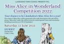 A poster for the Miss Alice competition.