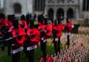 Aside from the red poppy, there are a number of others worn around Remembrance that each symbolise something different.