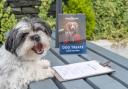 The Mulberry on Conwy Marina has introduced a Dog Menu!