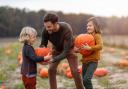 Are you looking for a pumpkin patch to visit before Halloween 2023? Take a look at the best spots in North Wales to visit according to Google Reviews