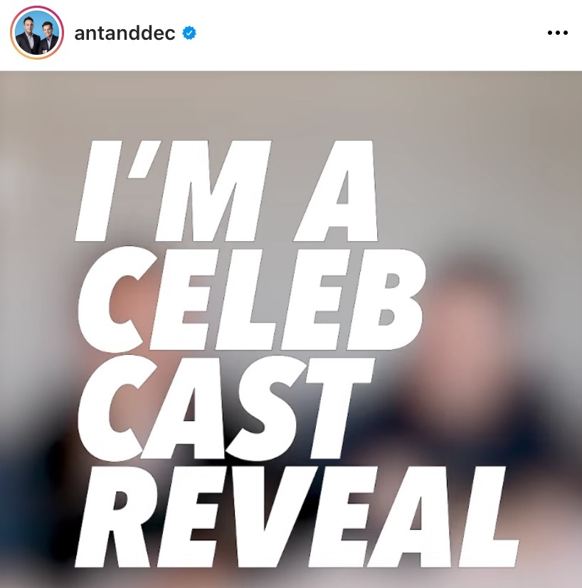 Ant and Dec react to the 2021 line-up of Im A Celeb! Picture: antanddec / Instagram