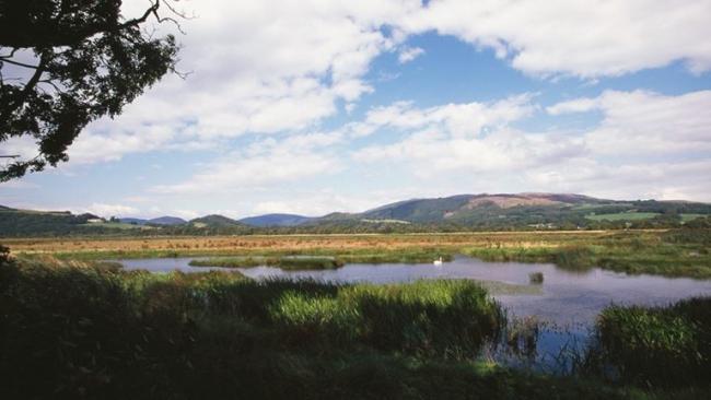 RSPB Conwy nature reserve. Picture: RSPB North Wales