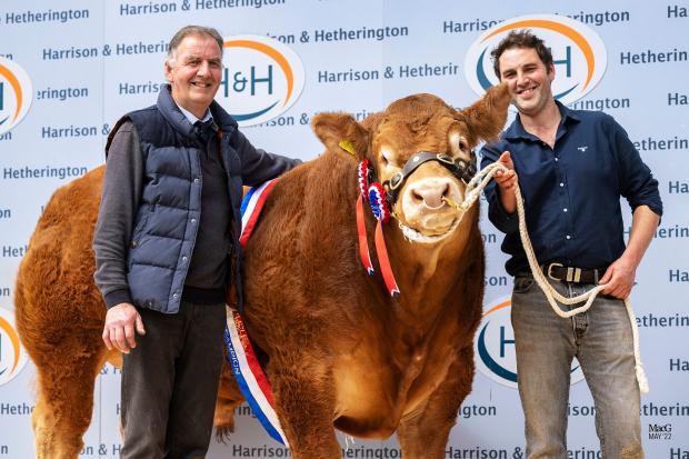 North Wales Pioneer: Gerwyn Jones with his prized bull, who was declared overall champion. Photo: MacGregor Photography
