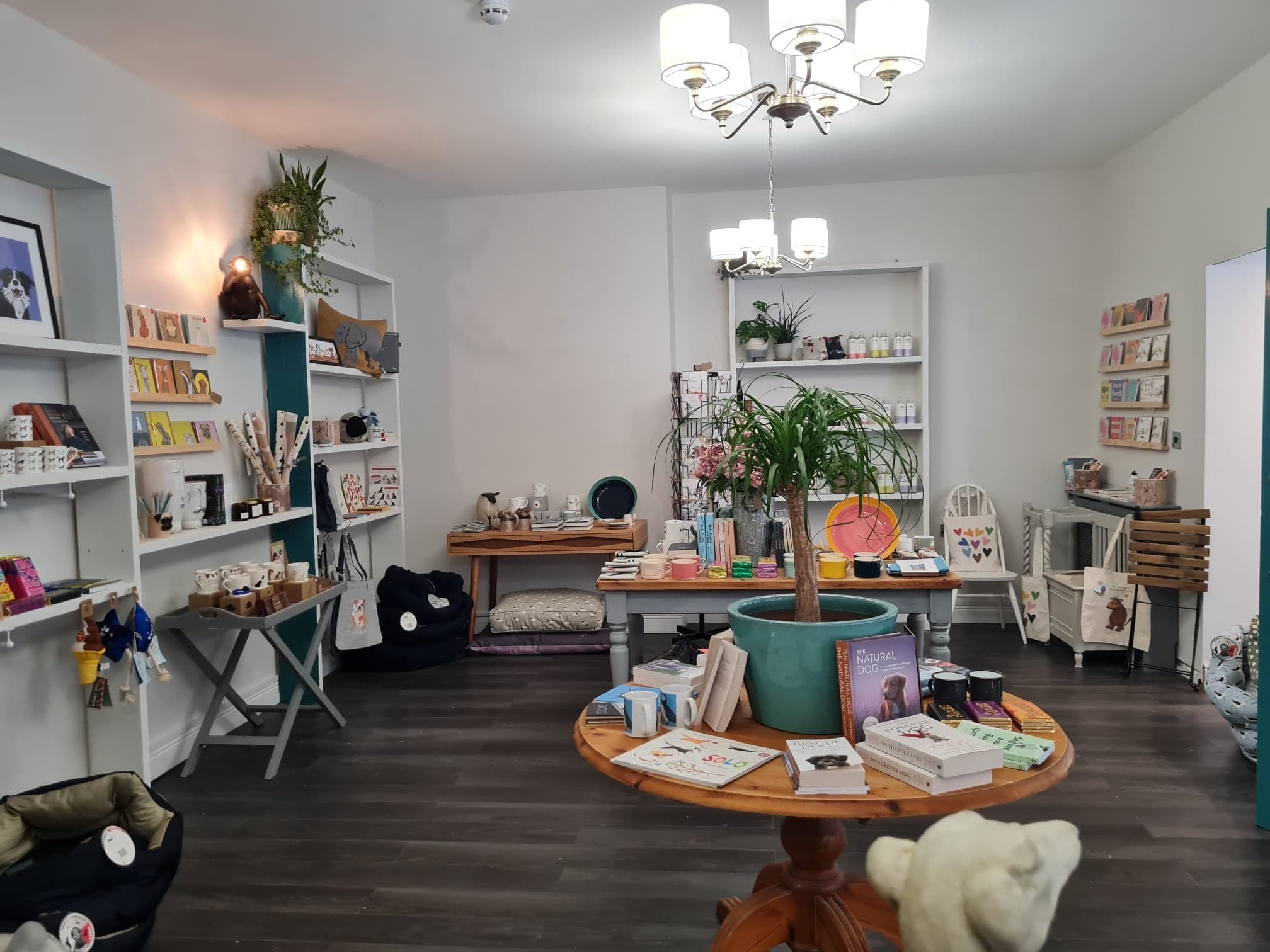 The owner of Dudley and George’s, a shop specialising in human homeware and dog products, has applied to Conwy’s planning department for permission to add a café to the store. ..The shop at 127 Mostyn Street is already an established