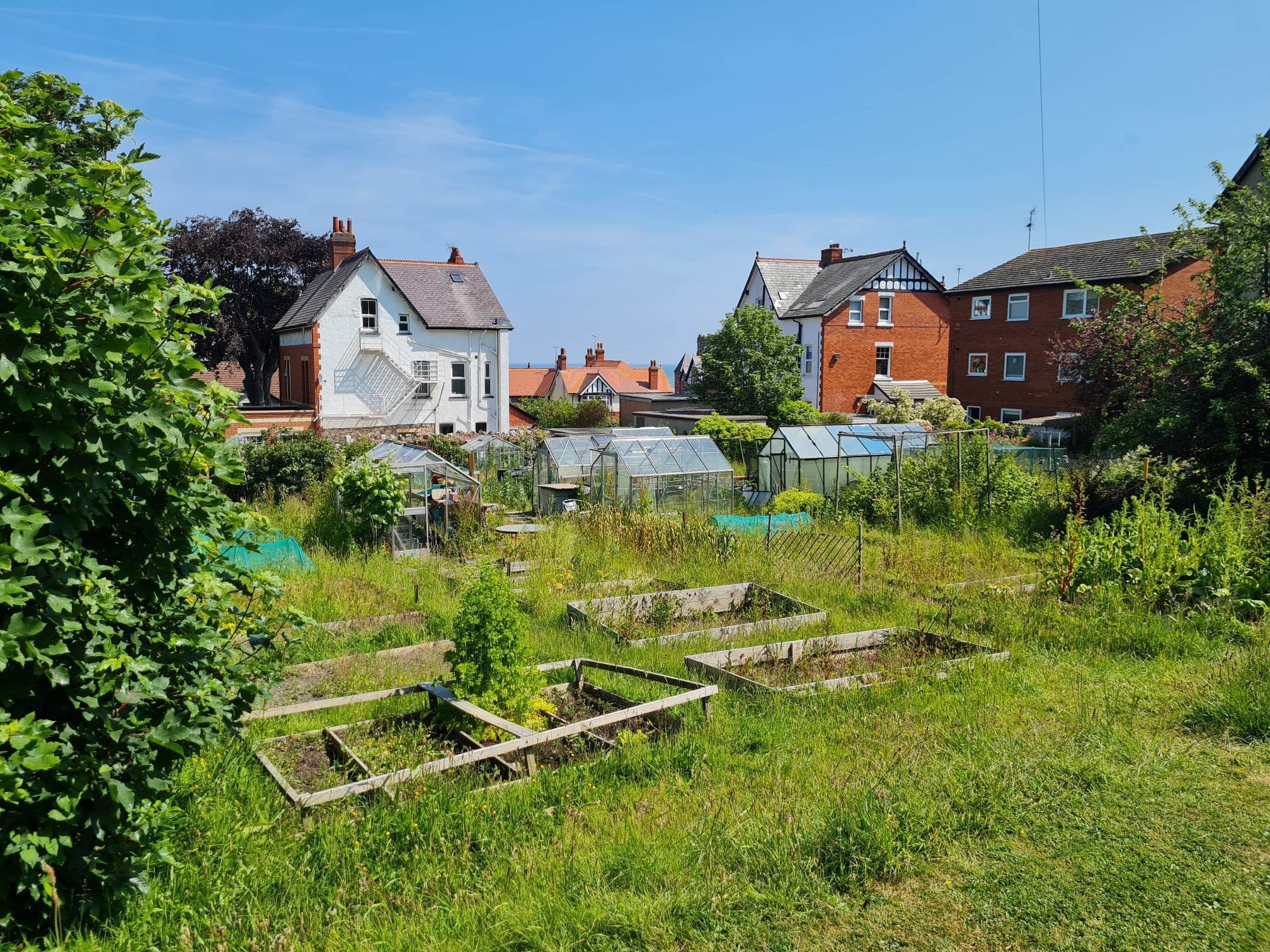 Allotments. Residents say the loss of a bowling green and relocation of an allotment to make way for new homes will cause traffic congestion, parking problems, and impact on vulnerable people.