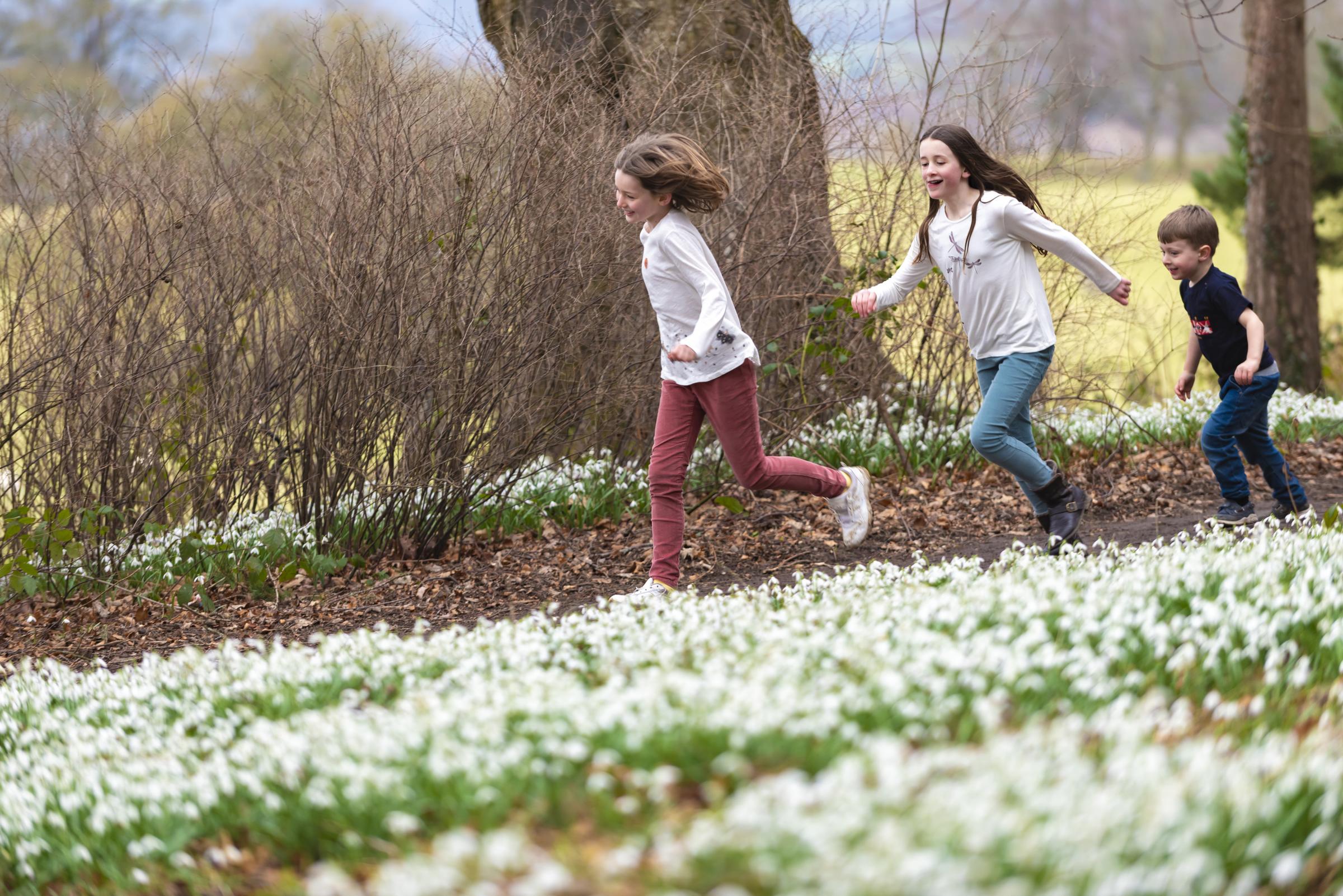 Children running past snowdrops at Chirk Castle, Wrexham. Photo: National Trust Images-Paul Harris