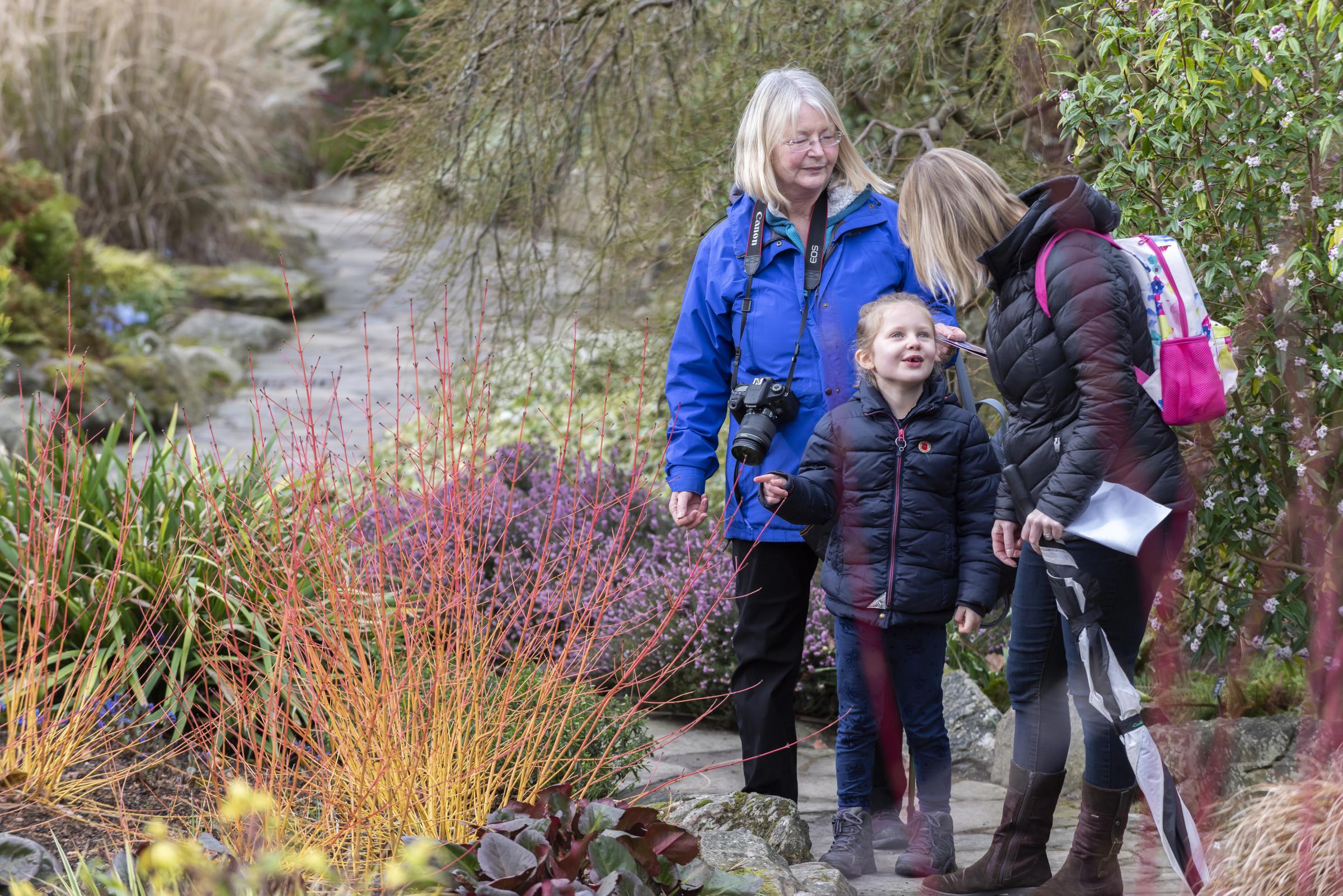 Visitors in the Winter Garden at Bodnant Garden. Photo: National Trust Images-Paul Harris