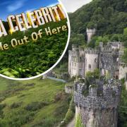 Gwrych Castle in Abergele is hosting this year's series of I'm a Celeb