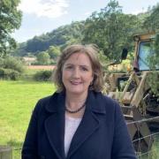 Janet Finch-Saunders, MS for Aberconwy