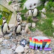 Zoo to celebrate Pride Month and Queen's Platinum Jubilee