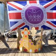 Welsh Mountain Zoo celebrates Queen's Platinum Jubilee