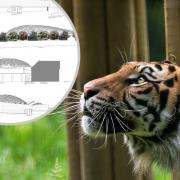 Plans for a new education centre at the Welsh Mountain Zoo.