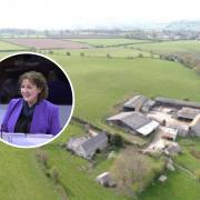 Janet Finch-Saunders MS said the effects of the new bill could be 'devastating' on Aberconwy farmers.