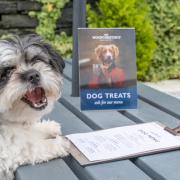 The Mulberry on Conwy Marina has introduced a Dog Menu!