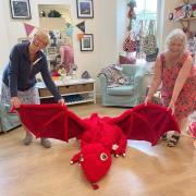 An auction was held for Bryn the dragon which raised £300!