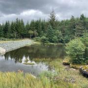 Pen y Gwaith Reservoir in Gwydyr Forest