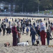 The earlier protest against banning dogs from the beach. (Image: Aaron Haggas)