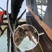 Ambitious winter maintenance at Llandudno Pier