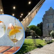 The event will be held at Faenol Fawr Country Hotel and inset - generic picture of gin and tonic