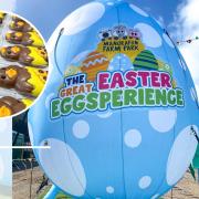 Great Easter EGGsperience at Manorafon Farm Park