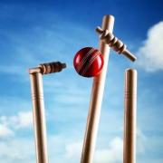 Library picture of cricket stumps
