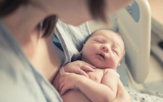Newborn baby / pregnancy / maternity / pregnant / generic / Getty
New born baby boy resting in mothers arms..